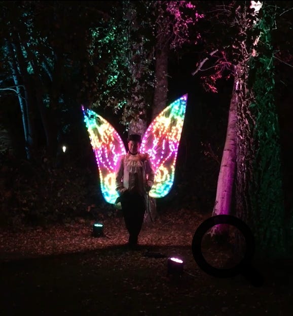 Monsieur Papillon, ein französischer Schmetterling Badend im Licht LED Act