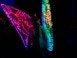 led Walk Act Led schmetterling Theater Liebreiz Lübeck